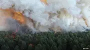 Waldbrand nahe Paris: 300 Hektar zerstört, Hitzewelle in Frankreich
