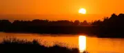 Waldbrandgefahr bleibt hoch: Sommerwetter in Berlin und Brandenburg hält an