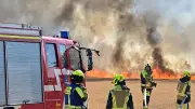 Waldbrandgefahr in Baden-Württemberg bleibt hoch – Feuerwehr warnt