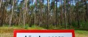 Waldbrandgefahr in Brandenburg gestiegen: Warnstufe 4 in vier Landkreisen