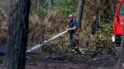 Waldbrandgefahr in Deutschland steigt auf höchste Stufen