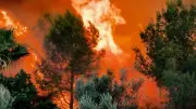 Waldbrandgefahr in Südeuropa: Urlaubsparadiese in Flammen