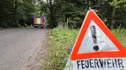 Waldbrandgefahr in Thüringen auf höchster Warnstufe verschärft