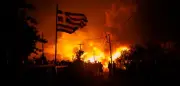 Waldbrände in Europa: Frankreich, Griechenland, Portugal und Spanien betroffen