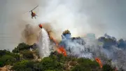Waldbrände in Europa: Urlaubsorte in Flammen, zwölf Tote in Spanien