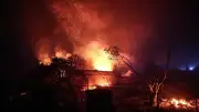 Waldbrände in Frankreich: Auch Deutschland wird zur Feuerregion
