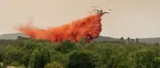 Waldbrände in Frankreich: Über 25.000 Menschen evakuiert – Kampf gegen Flammen dauert an