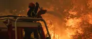 Waldbrände in Frankreich und Spanien: Hunderttausende auf der Flucht