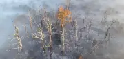 Waldbrände in Frankreich: Warum der Rauch so gefährlich ist und wie man sich schützt
