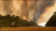 Waldbrände in Südeuropa: 45.000 Menschen evakuiert, Notstand in Frankreich und Spanien
