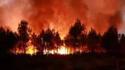 Waldbrände in Südeuropa: Frankreich, Spanien und Portugal weiter in Flammen