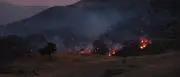 Waldbrände in Südeuropa: Griechenland und Türkei weiter im Kampf gegen Flammen