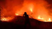 Waldbrände in Südeuropa: Urlaubsregionen in Flammen