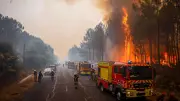 Waldbrände in Südeuropa: Was deutsche Camper jetzt wissen müssen