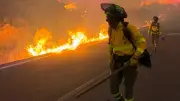 Waldbrände in Spanien: 12 Tote, 6600 Hektar verbrannt, Vermisste