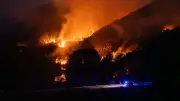Waldbrände in Spanien: 12.000 Hektar zerstört, Feuer in Aragonien weiter aktiv