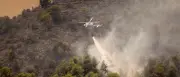 Waldbrände in Spanien: 47.000 Hektar zerstört – größter Brand der Geschichte