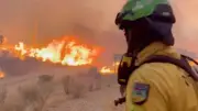 Waldbrände in Spanien: Todesopfer in Almeria steigt auf 13