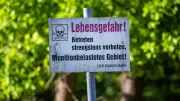 Warum große Flächen in MV munitionsbelastet sind: Altlasten im Boden