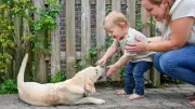 Warum Kinder nie ohne Aufsicht mit Hunden allein sein sollten