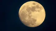 Was wäre die Erde ohne den Mond? Ein Gedankenspiel