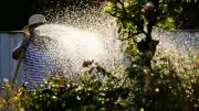 Wassermangel in München: Verbote mit Bußgeld bis 50.000 Euro