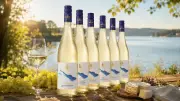 Weißwein-Paket für unter 30 Euro: Schloss Salem Blanc de Noirs zum halben Preis