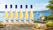 Weißwein-Paket vom Bodensee: 6 Flaschen für unter 30 Euro