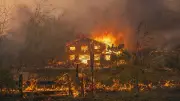 Weltkriegs-Munition explodiert bei Waldbrand in Südfrankreich