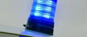Wespe im Auto: Unfall in Spremberg mit 10.000 Euro Schaden