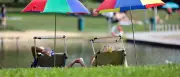 Wetter in Deutschland: Sonne im Südwesten, Regen im Nordosten
