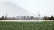 Willingmann: Wasser wird häufiger zu knappem Gut in Sachsen-Anhalt