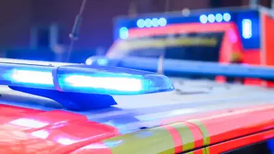 Baum stürzt auf Auto mit sieben Insassen in Hamburg - eine Person verletzt