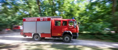Brandenburg: Experten fordern mehr Waldbrandschutz an Siedlungen