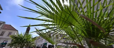 DWD warnt vor extremer Hitze in Potsdam: Temperaturen über 30 Grad