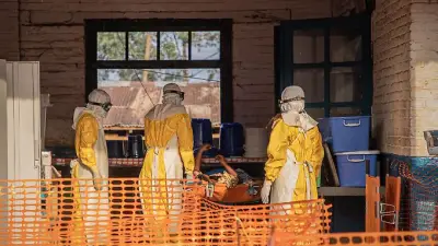 Ebola im Kongo: WHO meldet Rekordwoche mit 567 Neuinfektionen