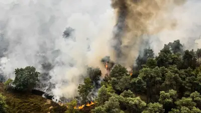 Europa im Flammen-Inferno: Wälder brennen, Flüsse schrumpfen