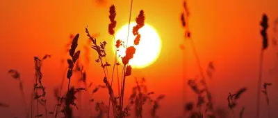 Extremwetter am Dienstag: Bis zu 38 Grad und heftige Gewitter erwartet