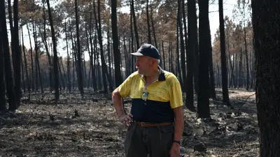 Feuer bei Bordeaux: Wie ein Waldbauer um sein Erbe kämpft
