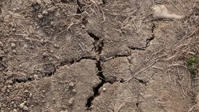 Hitzewellen setzen Gartenboden zu: Wasser wird abgewiesen