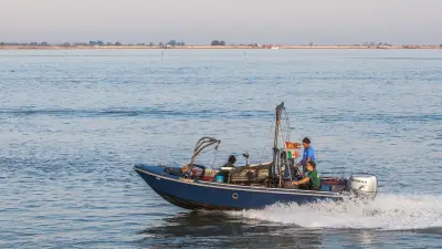 Italiens Muschelzucht in Not: Blaukrabbe soll Delikatesse werden