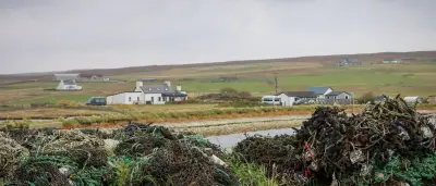 Malachy Tallacks neuer Roman: Melancholie auf den Shetlandinseln