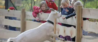 Neuer Träger will Erlebniswelt Tier und Natur wieder öffnen