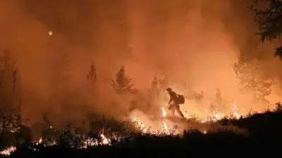 Notstand nach Waldbränden: 60.000 Menschen in Washington evakuiert