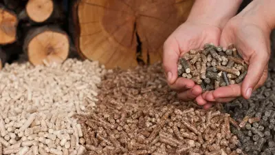 Pelletspreise am 5. August 2026: Aktueller Preis pro Tonne und Trends