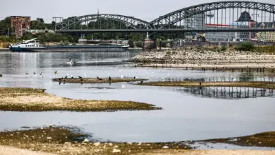 Rheinpegel in Köln sinkt auf historischen Tiefstand