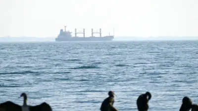 Russische Getreidelobby warnt vor Stopp der Exporte im Schwarzen Meer