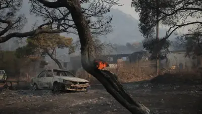 Waldbrand bei Athen: Flammen nähern sich Megara