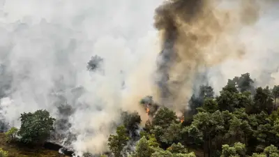 Waldbrand in den Niederlanden: 100 Hektar in Flammen, 18 km bis Deutschland