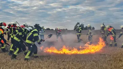 Waldbrandgefahr in Aichach-Friedberg: Stufe 4 ausgerufen
